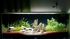 200l - Panoramic Aquarium - Artur Żywy