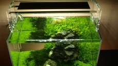 020l - 36x22x26 - mini_nature_02