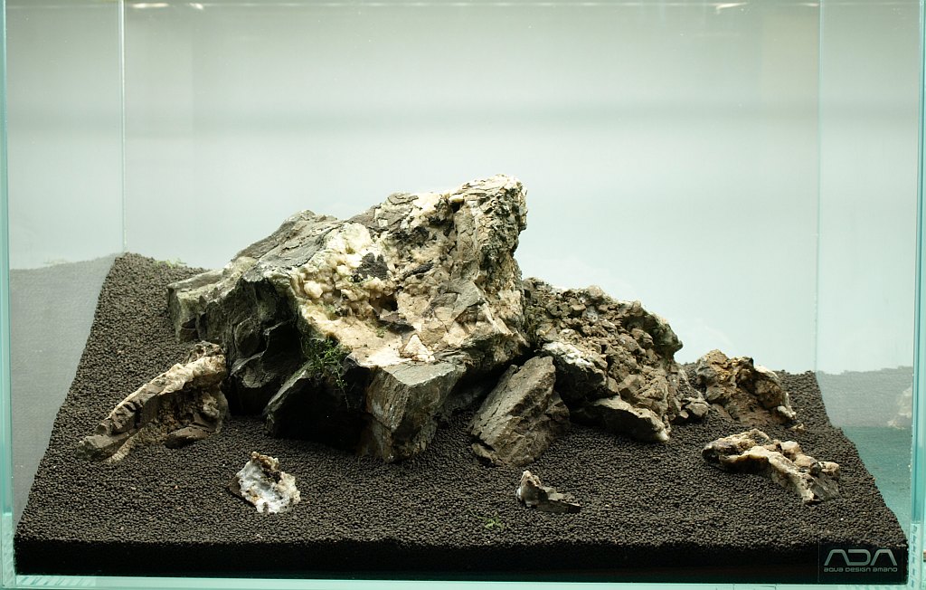 mini_nature_03x00.jpg