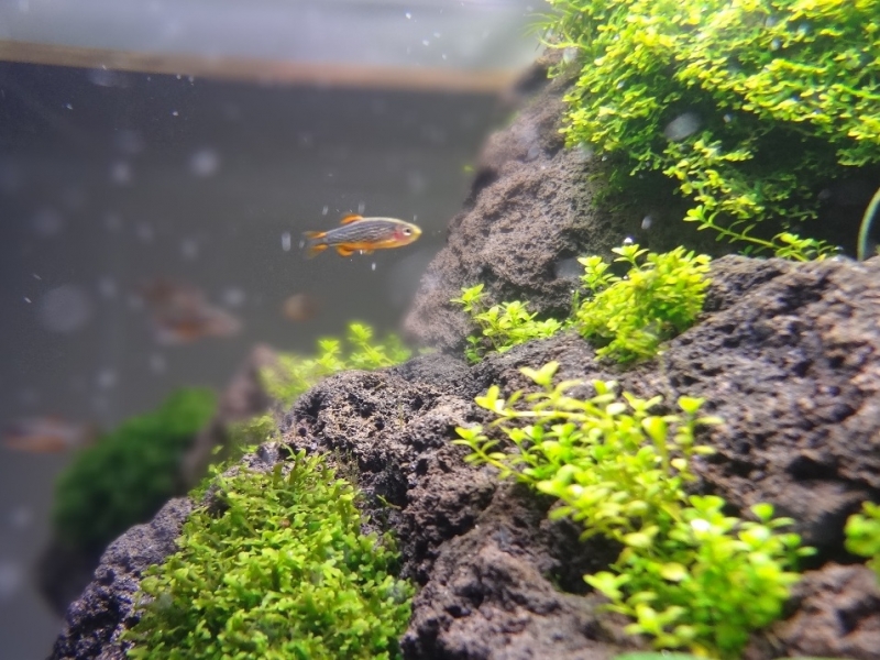 DSC04940_.jpg