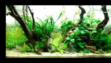 60l -  mardow - No.4