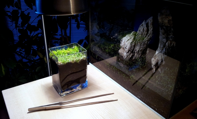 2013-10-23 17.43.35.jpg
