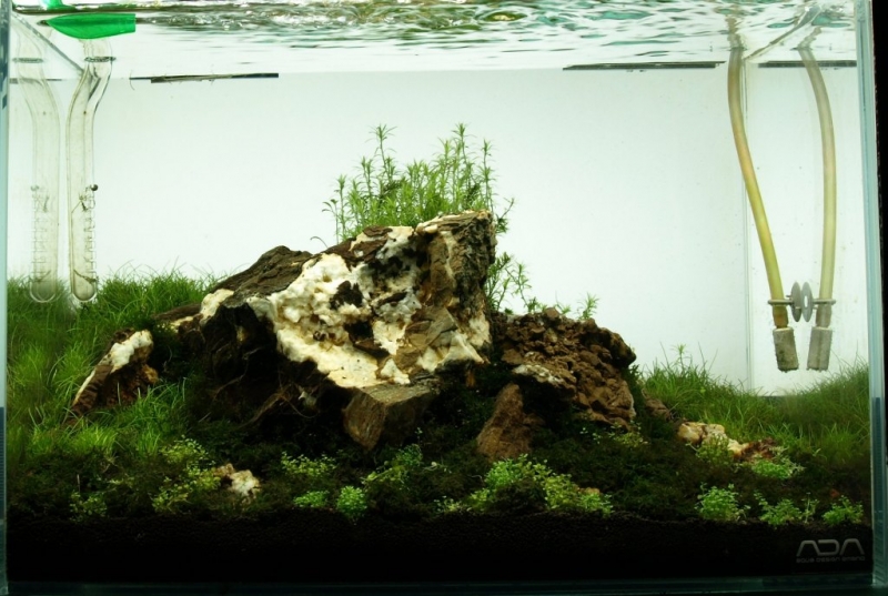mini_nature_03x02.jpg