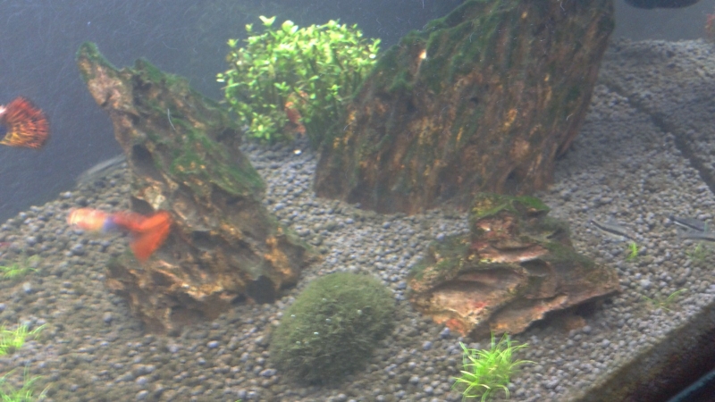 2013-10-26 19.36.57.jpg