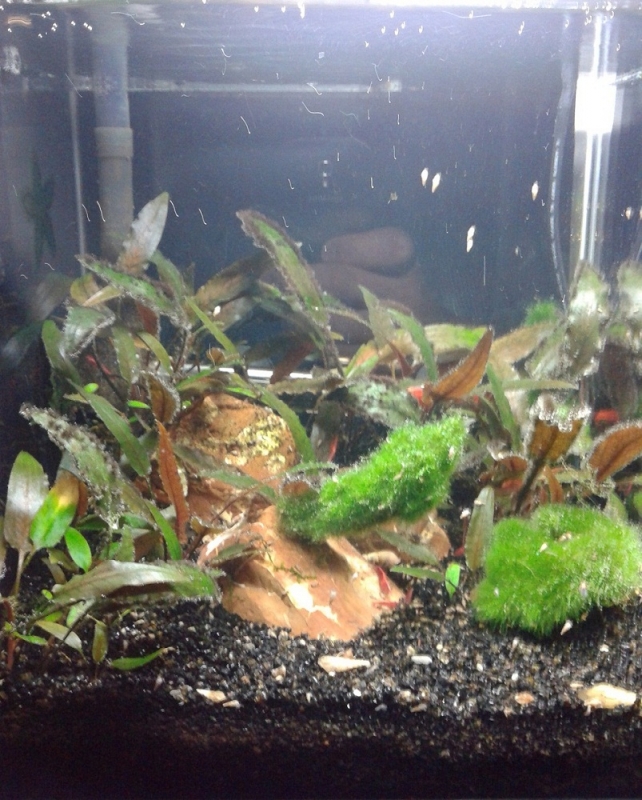 20131027_180116.jpg