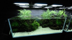 Sumida Aquarium Tokyo