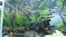 Sumida Aquarium Tokyo