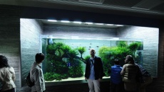 Sumida Aquarium Tokyo