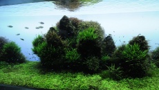 Sumida Aquarium Tokyo