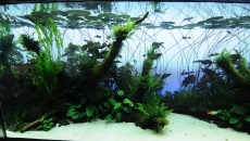Sumida Aquarium Tokyo