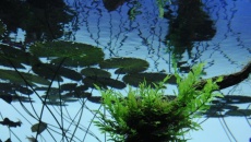 Sumida Aquarium Tokyo