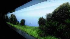 Sumida Aquarium Tokyo