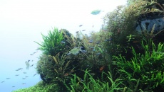 Sumida Aquarium Tokyo