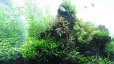 Sumida Aquarium Tokyo