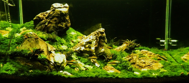 DSCN2059.JPG
