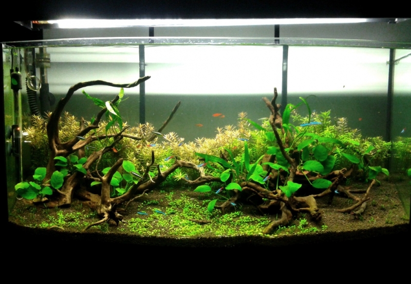 2013-10-30 17.56.50.jpg