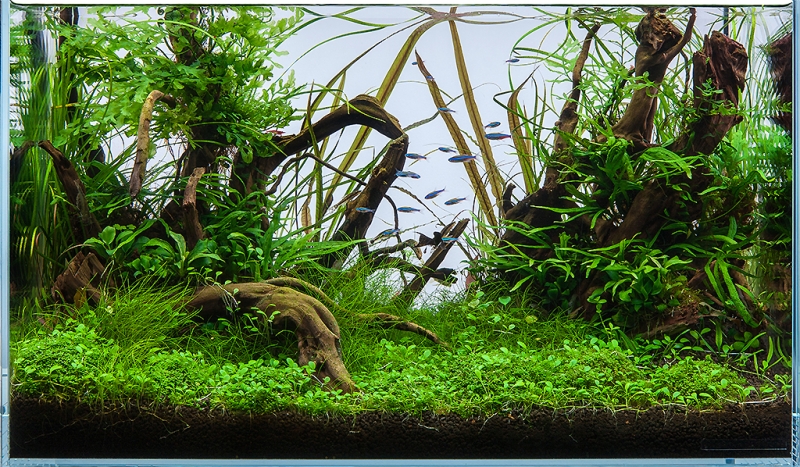 Fresh + Reef white.jpg