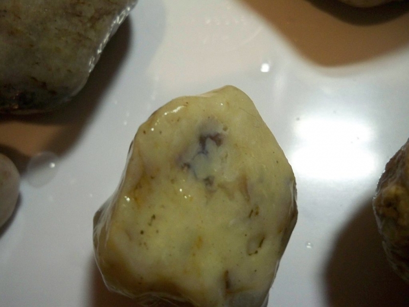 100_8302.JPG