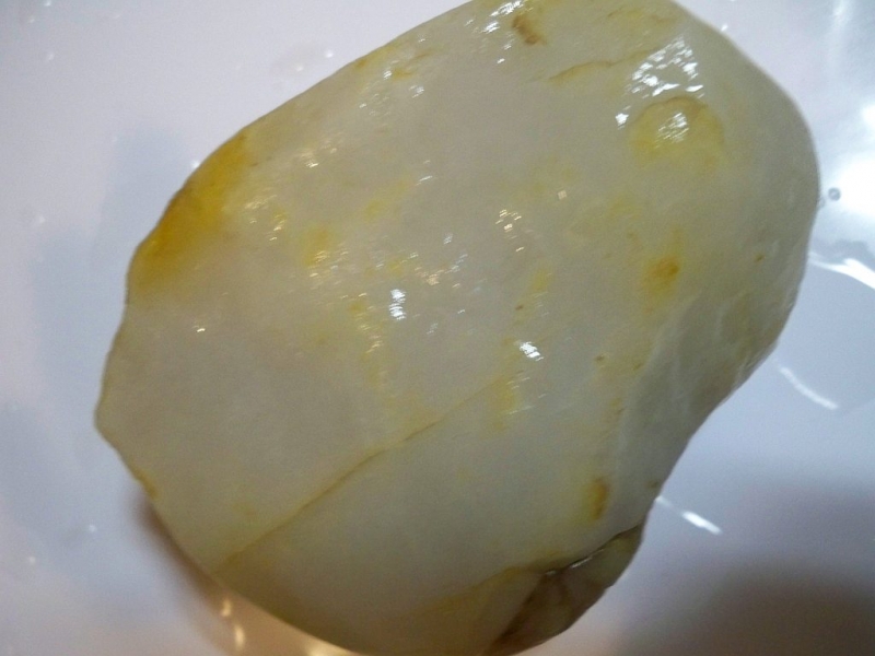 100_8313.JPG