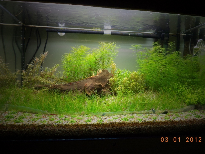 DSC01004.JPG