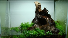 020l - 36x22x26 - Maciek Morchat