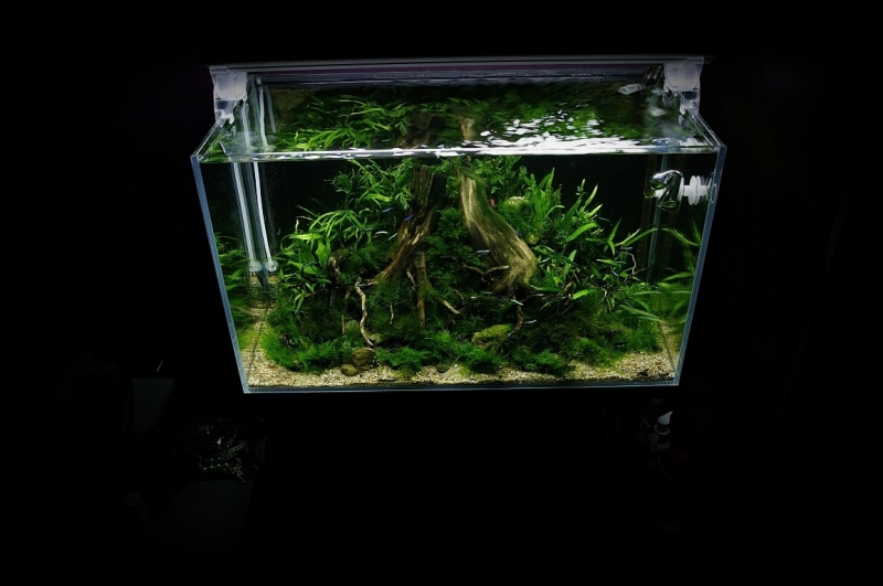 2 (2).JPG