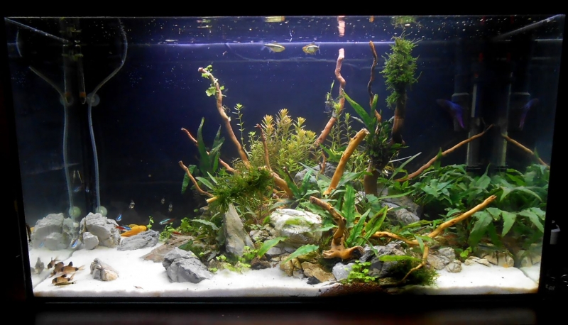 DSCN1288.JPG