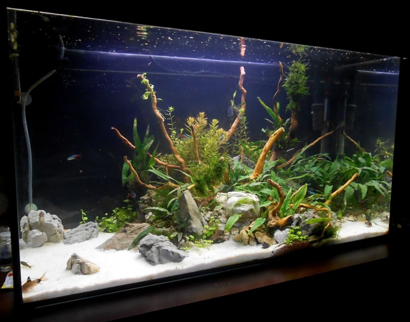 DSCN1285.JPG