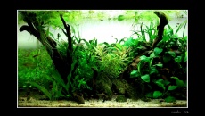 60l -  mardow - No.4