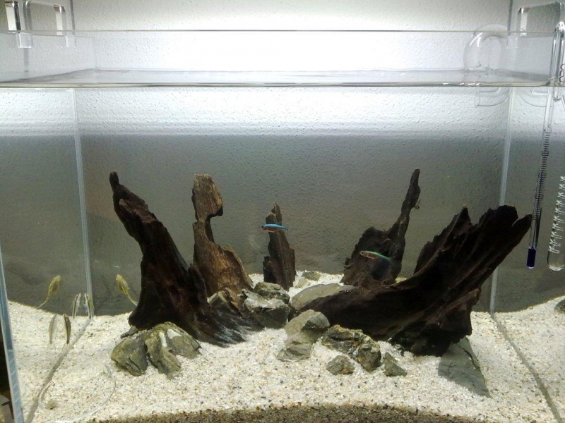 201312011485.jpg