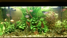 200l - Waterworld