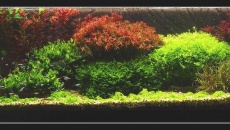 240l - Jurek