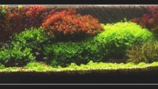 240l - Jurek