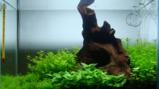 020l - 36x22x26 - Maciek Morchat