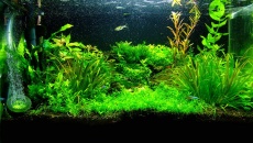 23l - Biurkowe