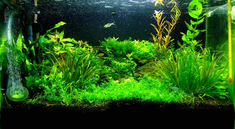 c .JPG