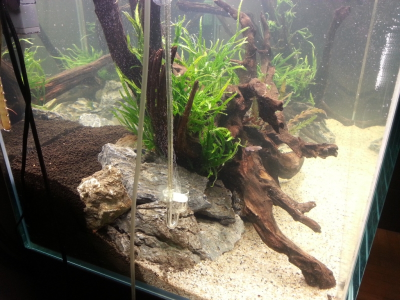20131208_172447 4.jpg
