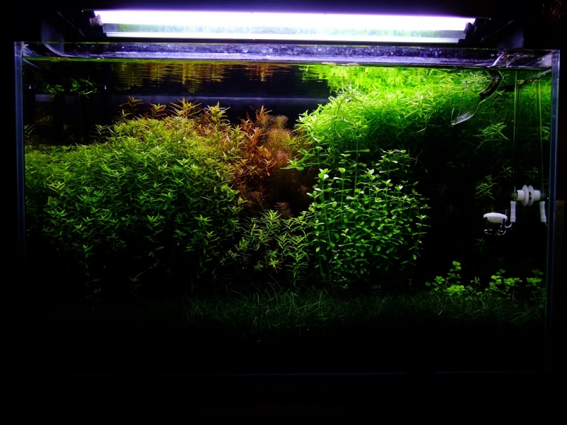 DSCF9462.jpg