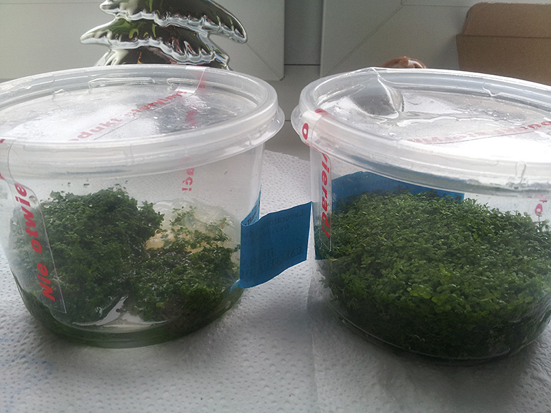 20131220_105854.jpg