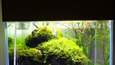 43l - salonowy cube 3
