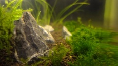 43l - salonowy cube 3