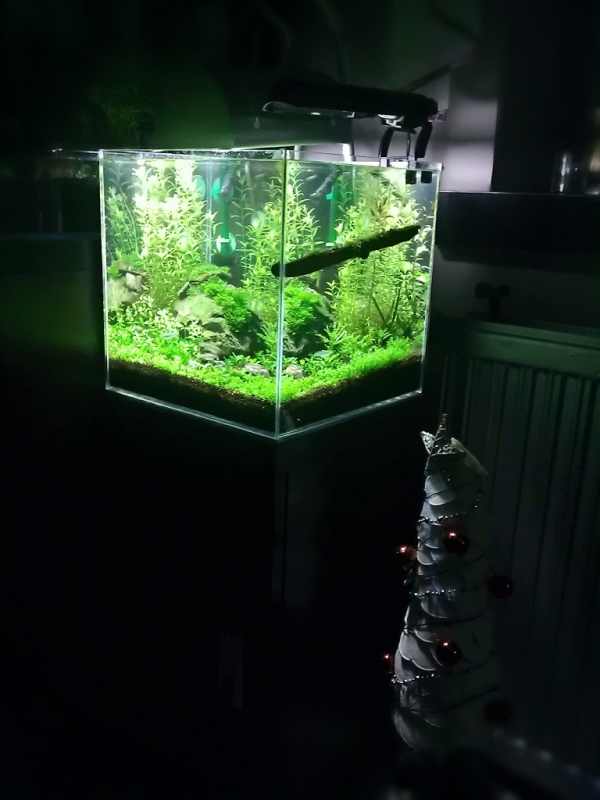 IMAG0407.jpg