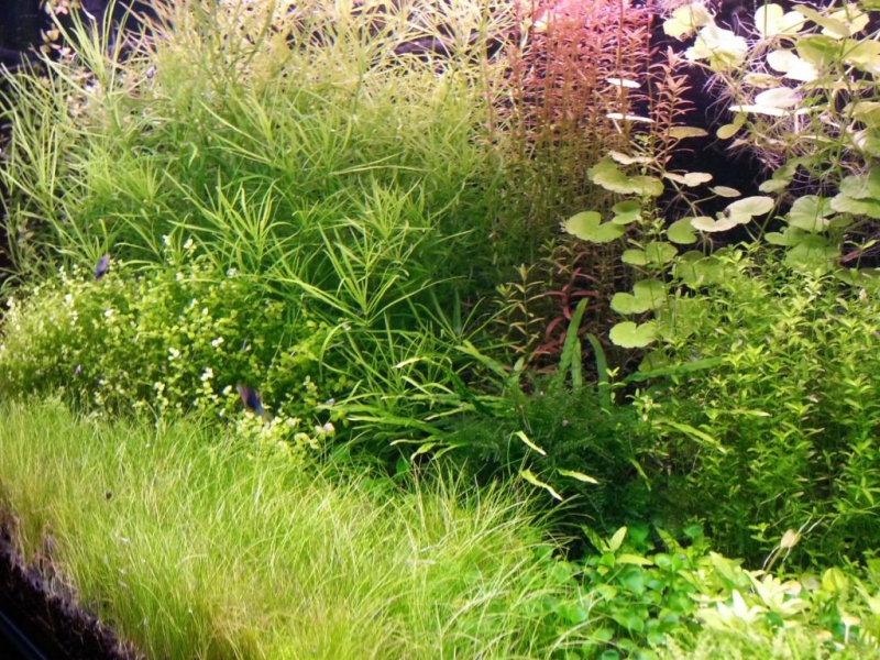 2013-12-14 20.23.28.jpg