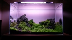 45l - Daniel Sz