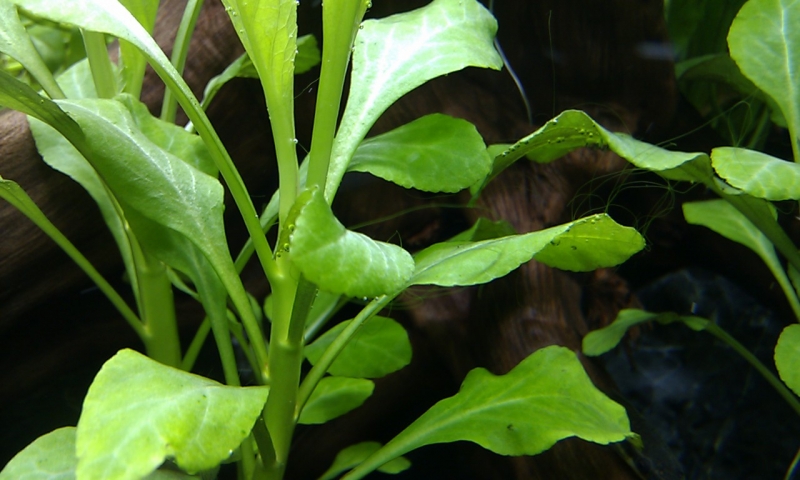 IMAG0067.jpg