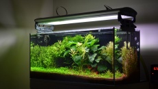 80l - Makallele