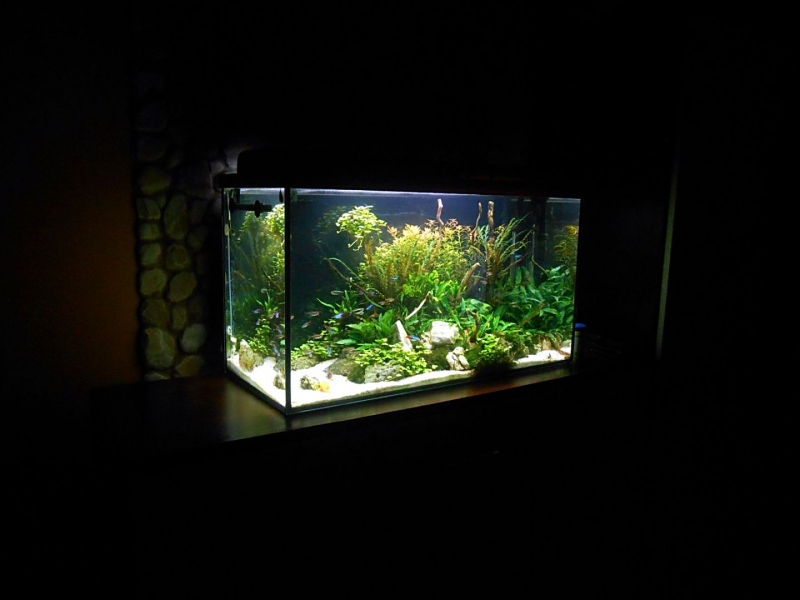 DSCN1312.JPG