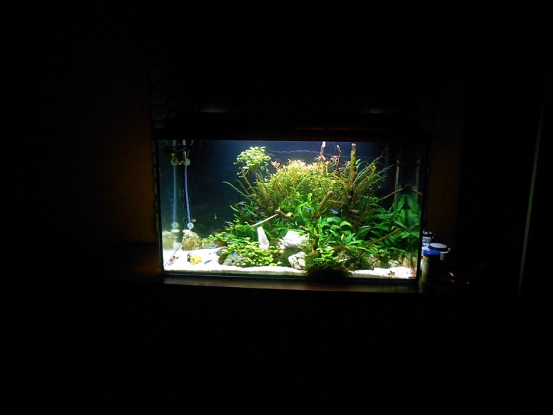 DSCN1319.JPG