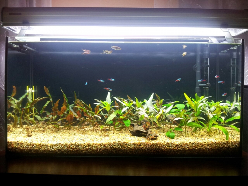 2013-11-10~01.jpg