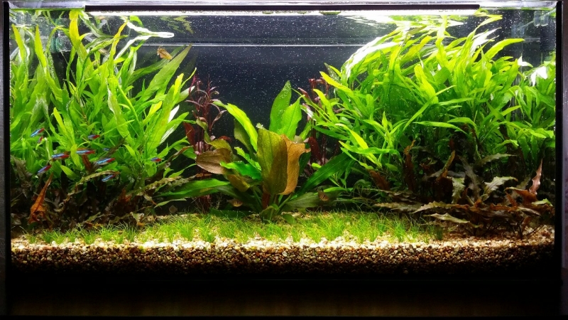 2013-12-30~01.jpg